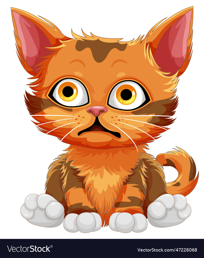 Cute cat cartoon character Royalty Free Vector Image