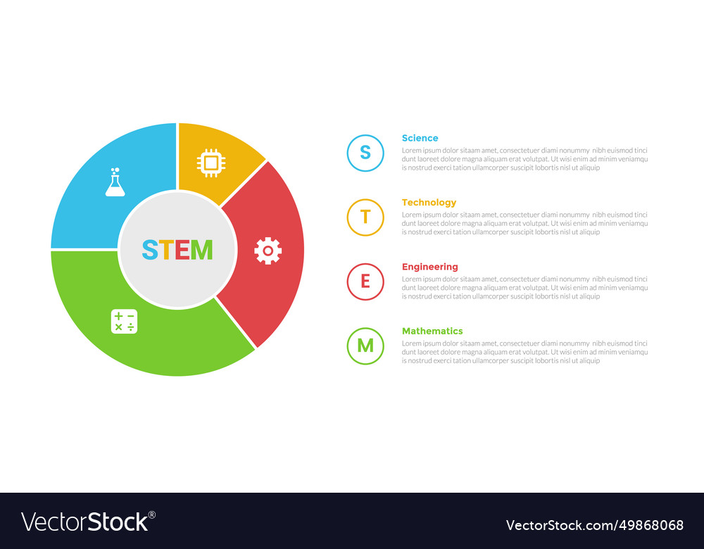 Stem education infographics template diagram Vector Image