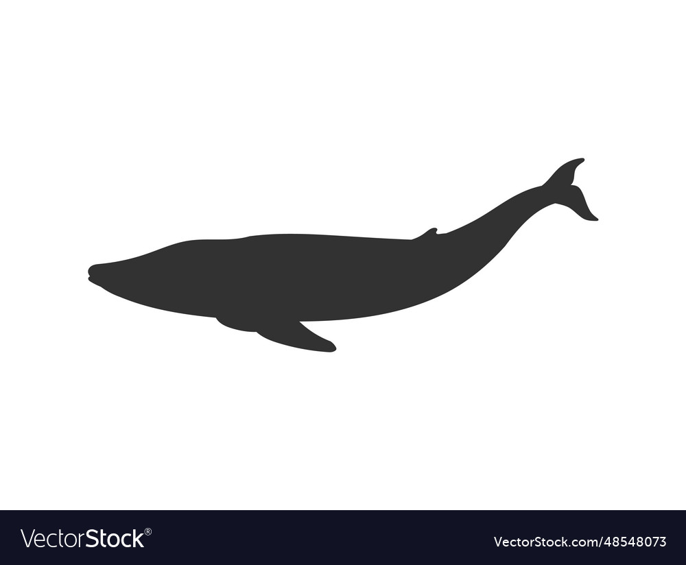 Black silhouette of blue whale Royalty Free Vector Image