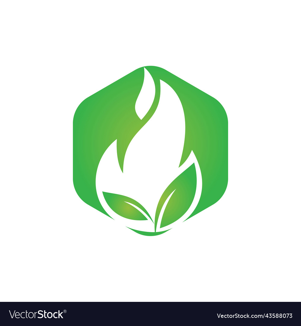 Fire leaf logo design