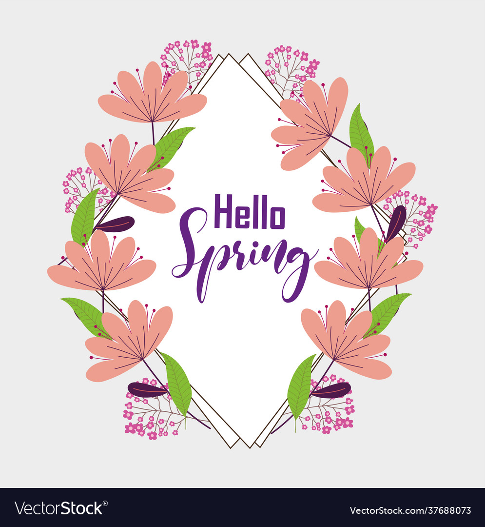 Hello spring frame