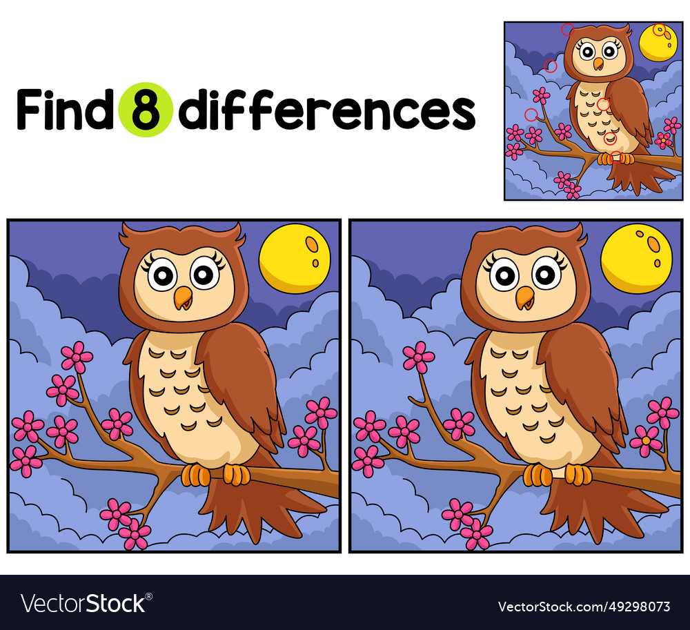 Owl on a tree branch find the differences