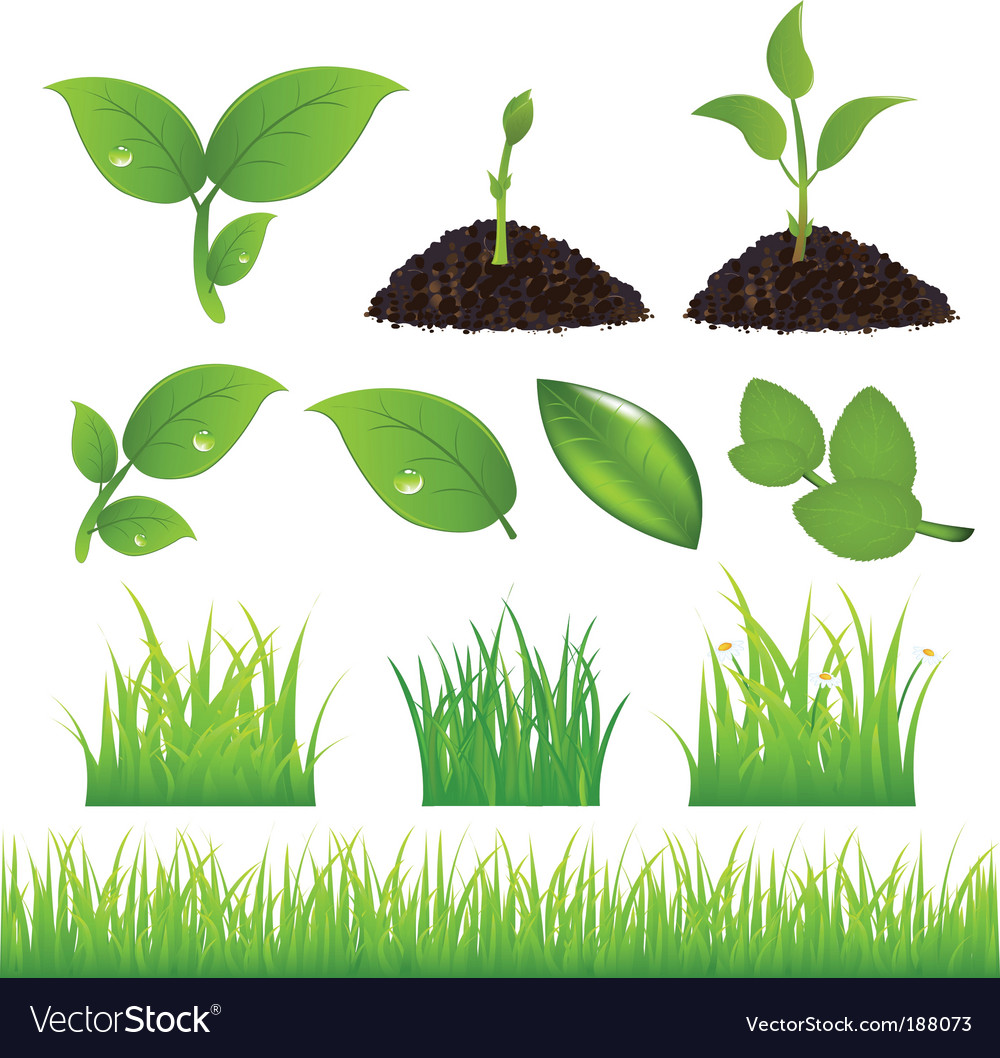 Spring element design Royalty Free Vector Image