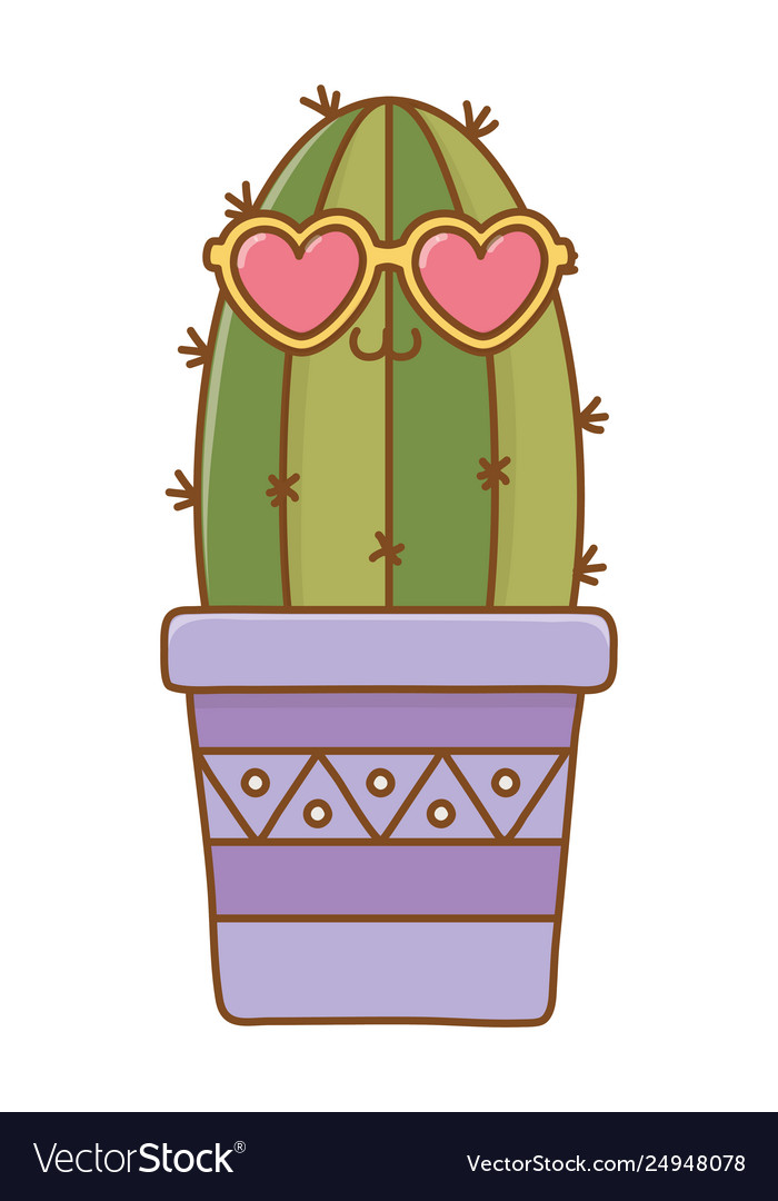 cactus with sunglasses