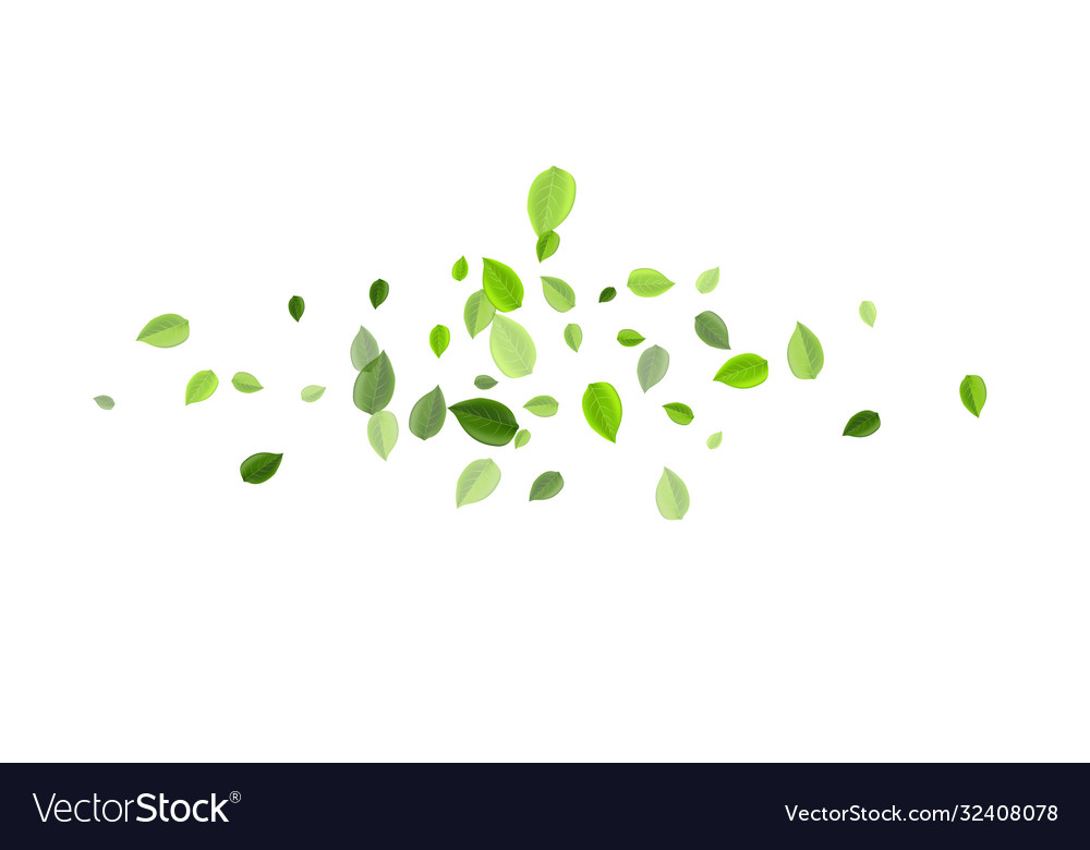 Green leaf falling wallpaper herbal