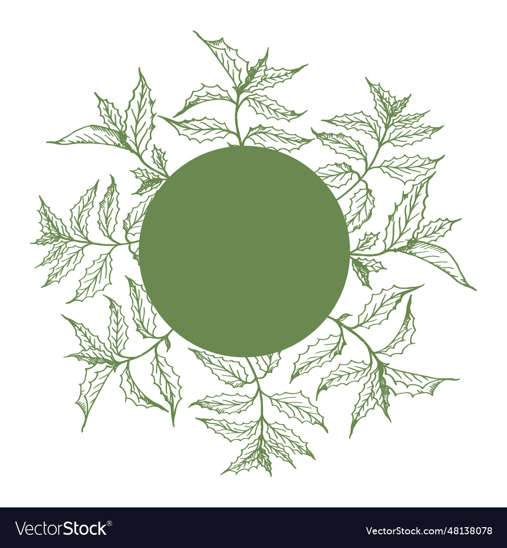Mint label frame template background for text Vector Image Mint label frame template background for text