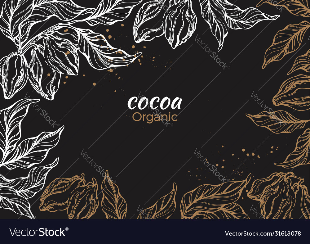 Template cocoa art sketch vector image Template cocoa art sketch