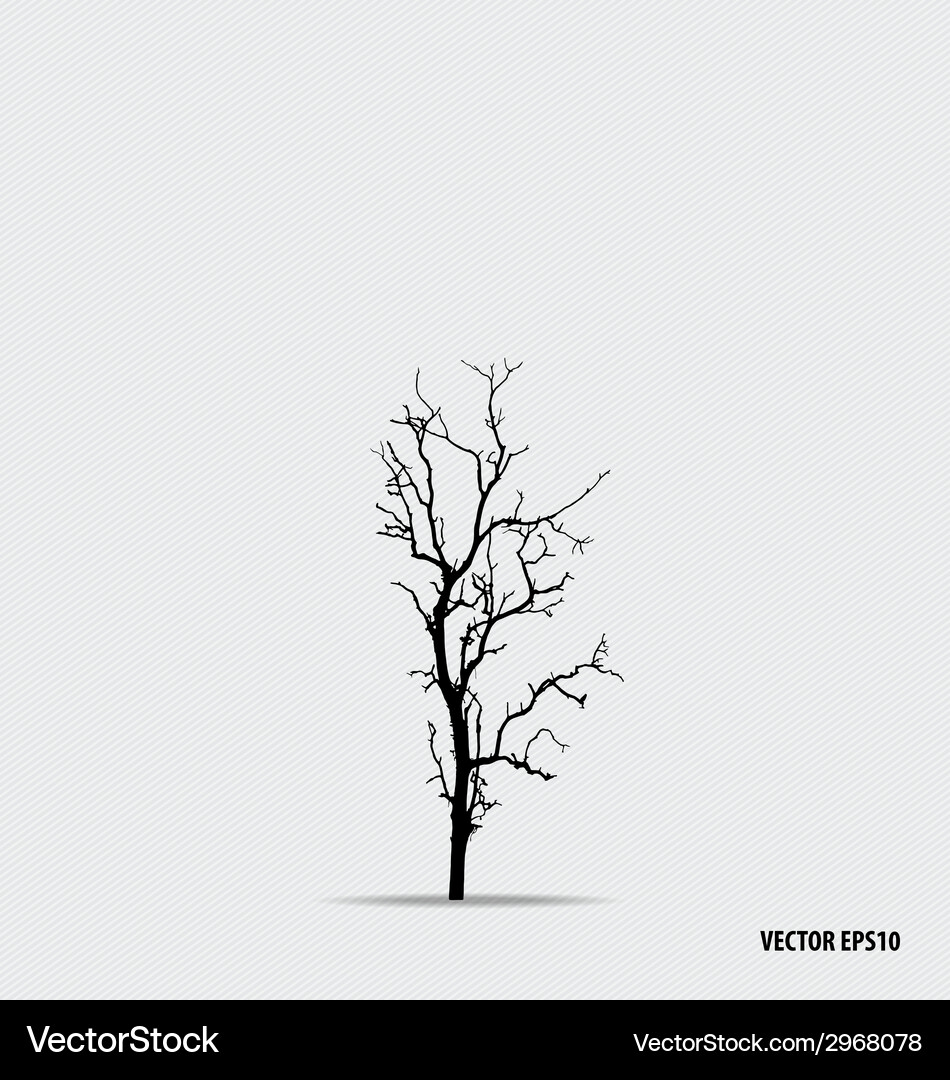 Tree silhouettes Royalty Free Vector Image - VectorStock
