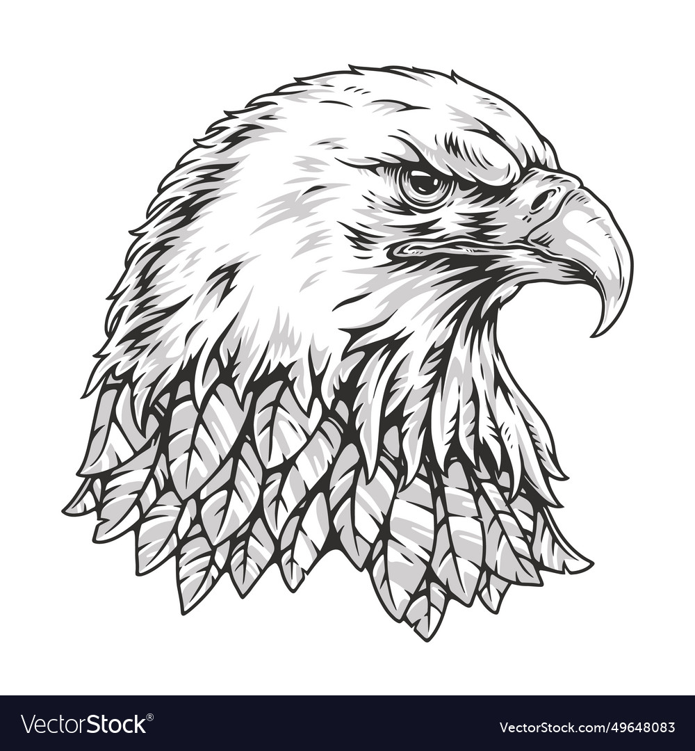 American bald eagle monochrome logotype Royalty Free Vector