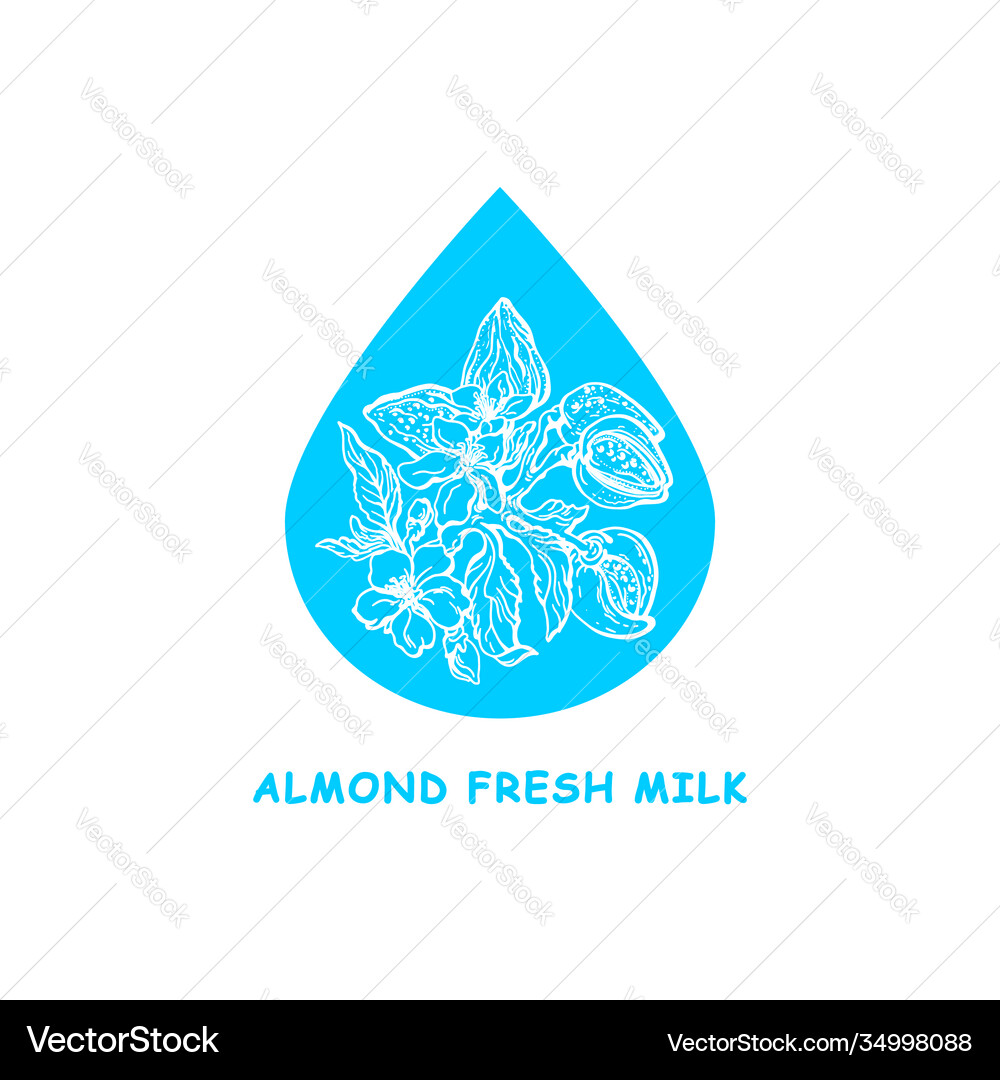 Almond milk drop hand drawing sign Royalty Free Vector Image