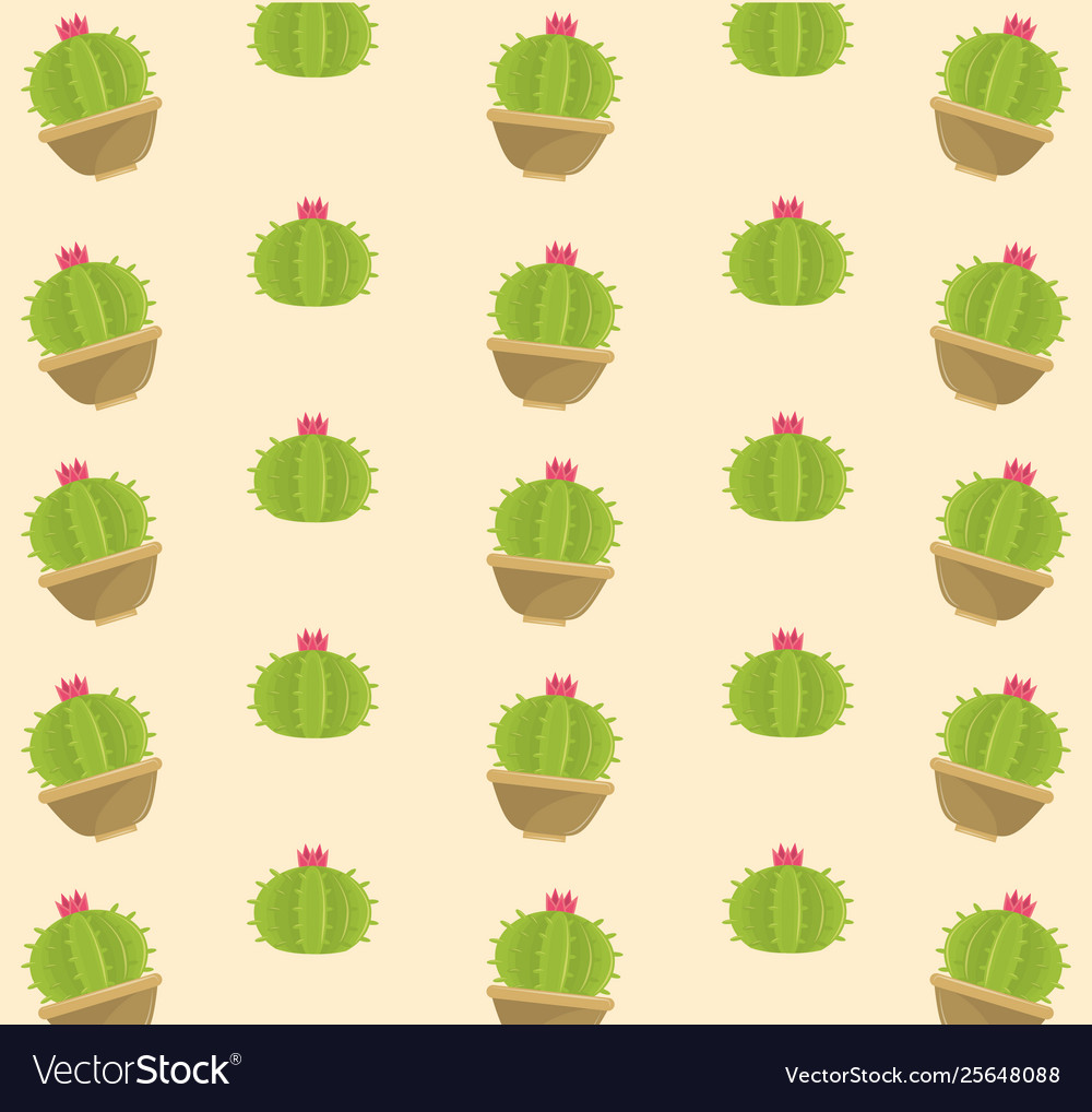 Cactus succulent plants pots background