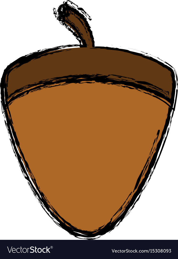 Acorn icon image