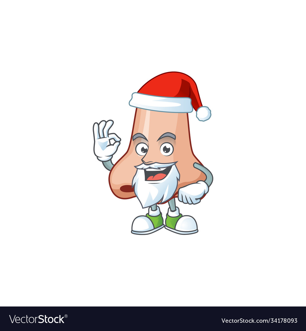 Friendly nose santa cartoon design with ok finger Vector Image