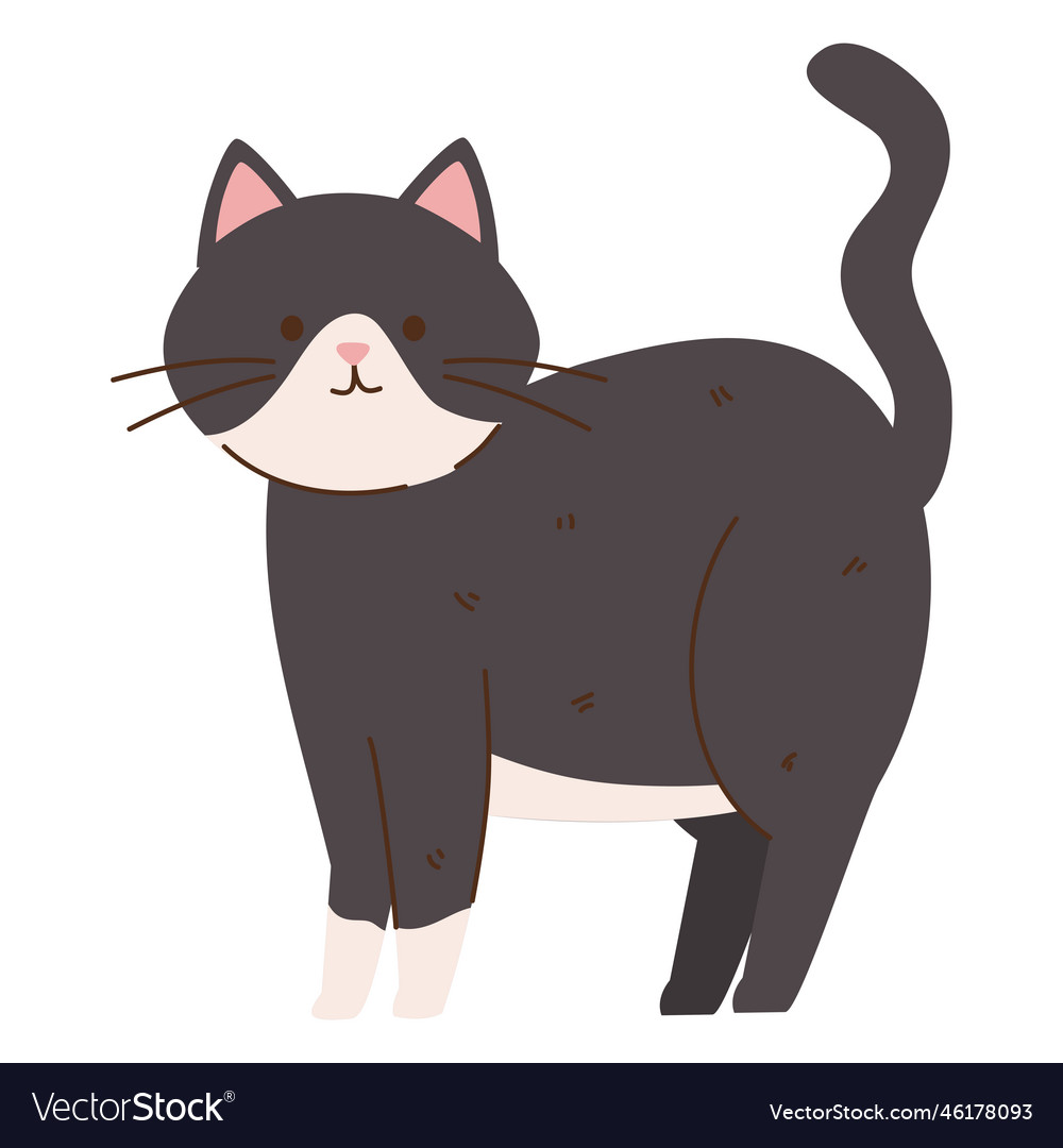 White and black cat Royalty Free Vector Image - VectorStock