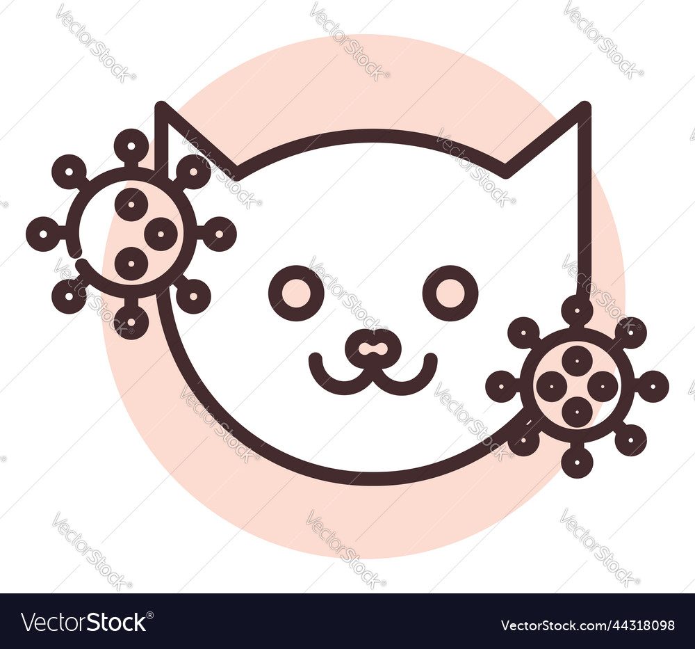 Cat allergy on white background