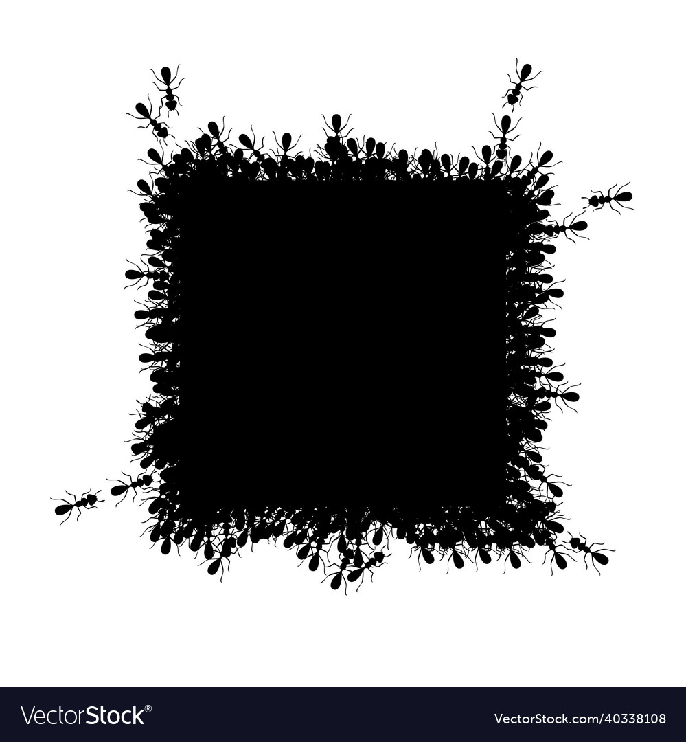 Ants square border forming rectangular shape vector image Ants square border forming rectangular shape