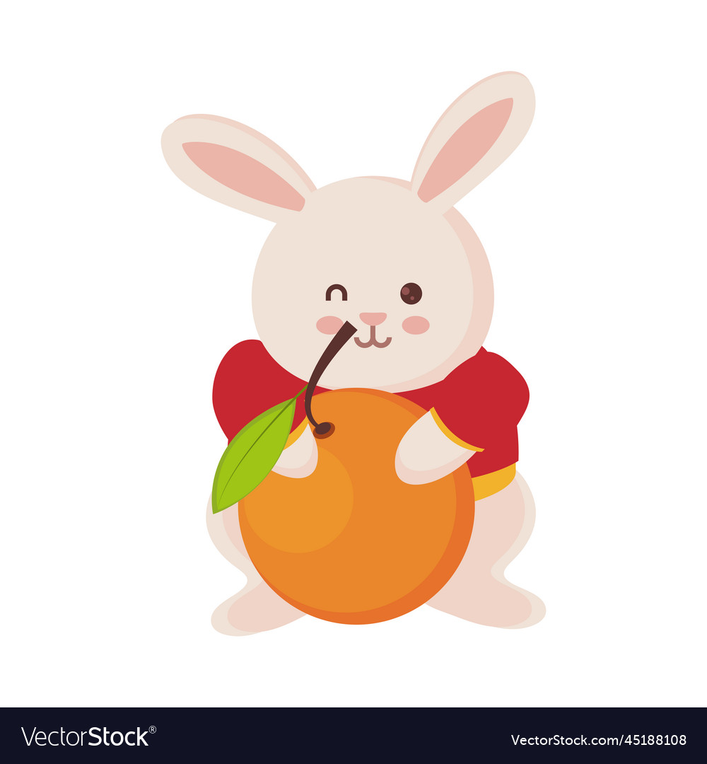 Chinese new year rabbit and orange