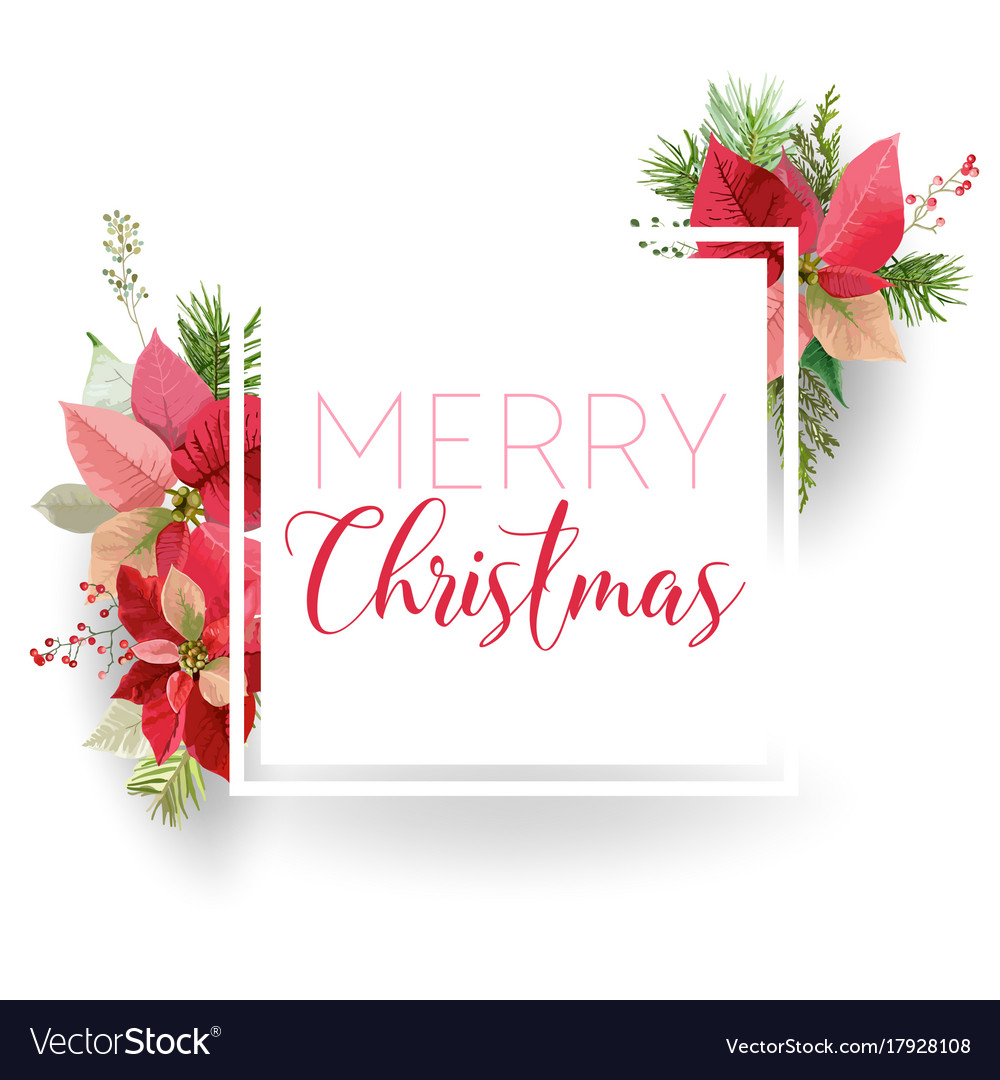 Poinsettia Banner Kabap Refinedtraveler Co