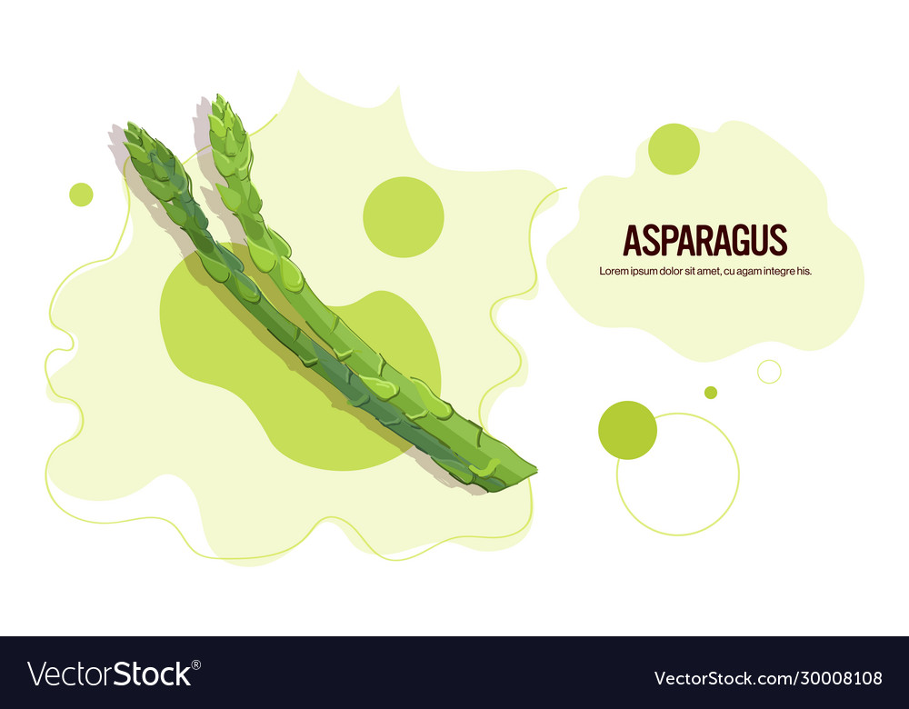 Fresh asparagus sticker tasty vegetable icon