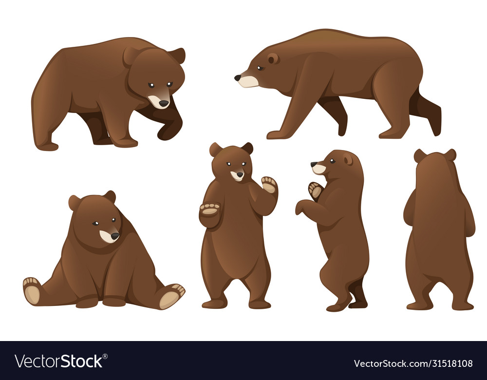 Set grizzly bears north america animal brown Vector Image