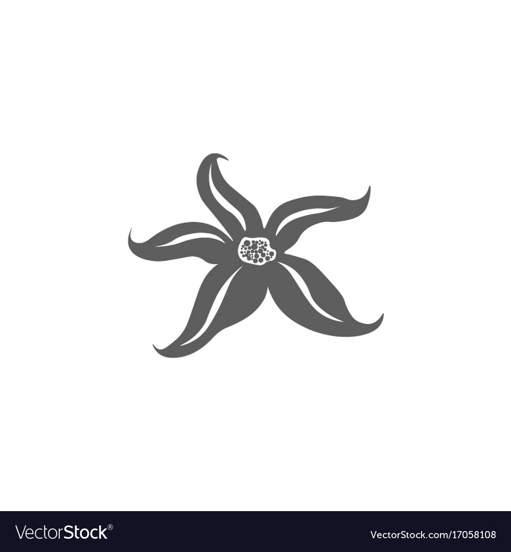 Starfish icon isolated on background modern flat