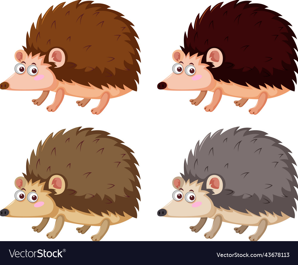 Different hedgehogs in cartoon style