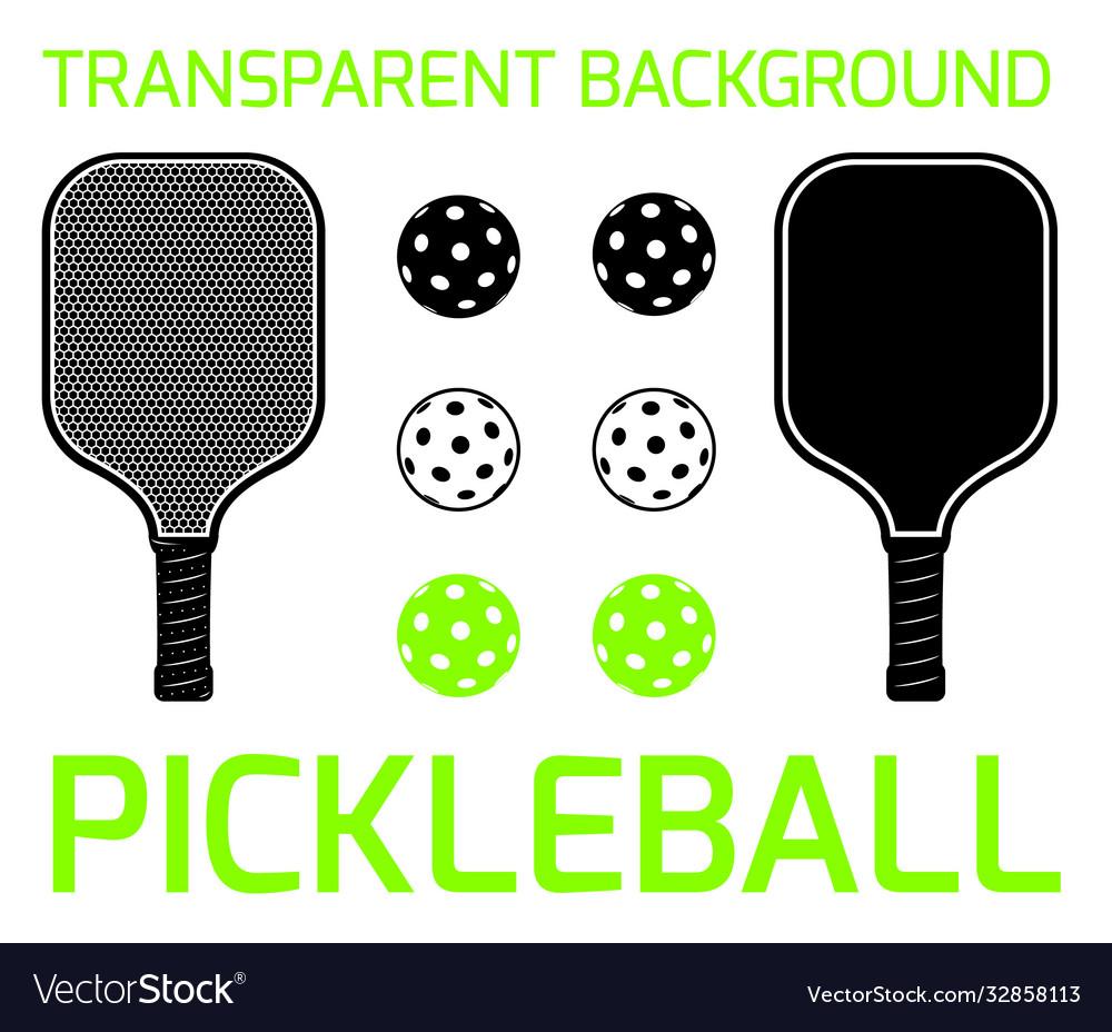 Pickleball sport equipment Royalty Free Vector Image