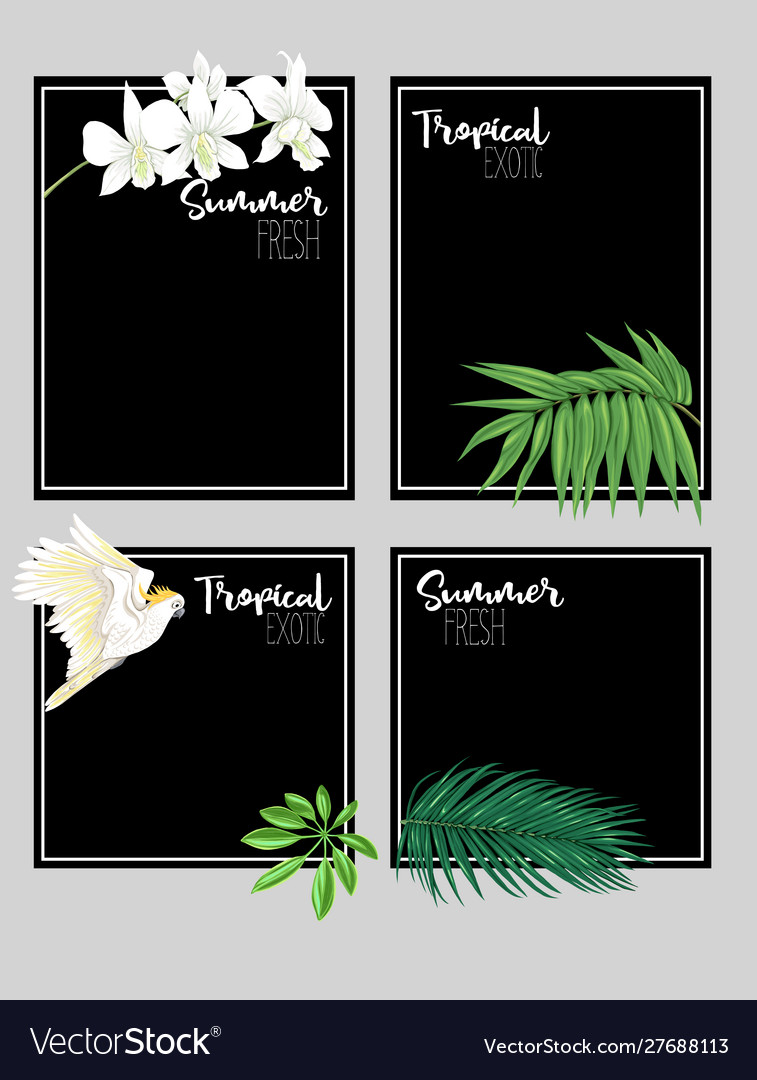 Set text boxes for bullet journal or notes vector image Set text boxes for bullet journal or notes