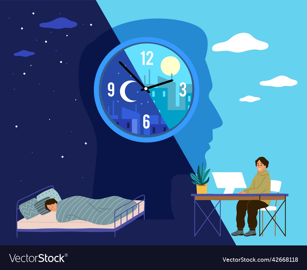Human biological clock time for sleep Royalty Free Vector