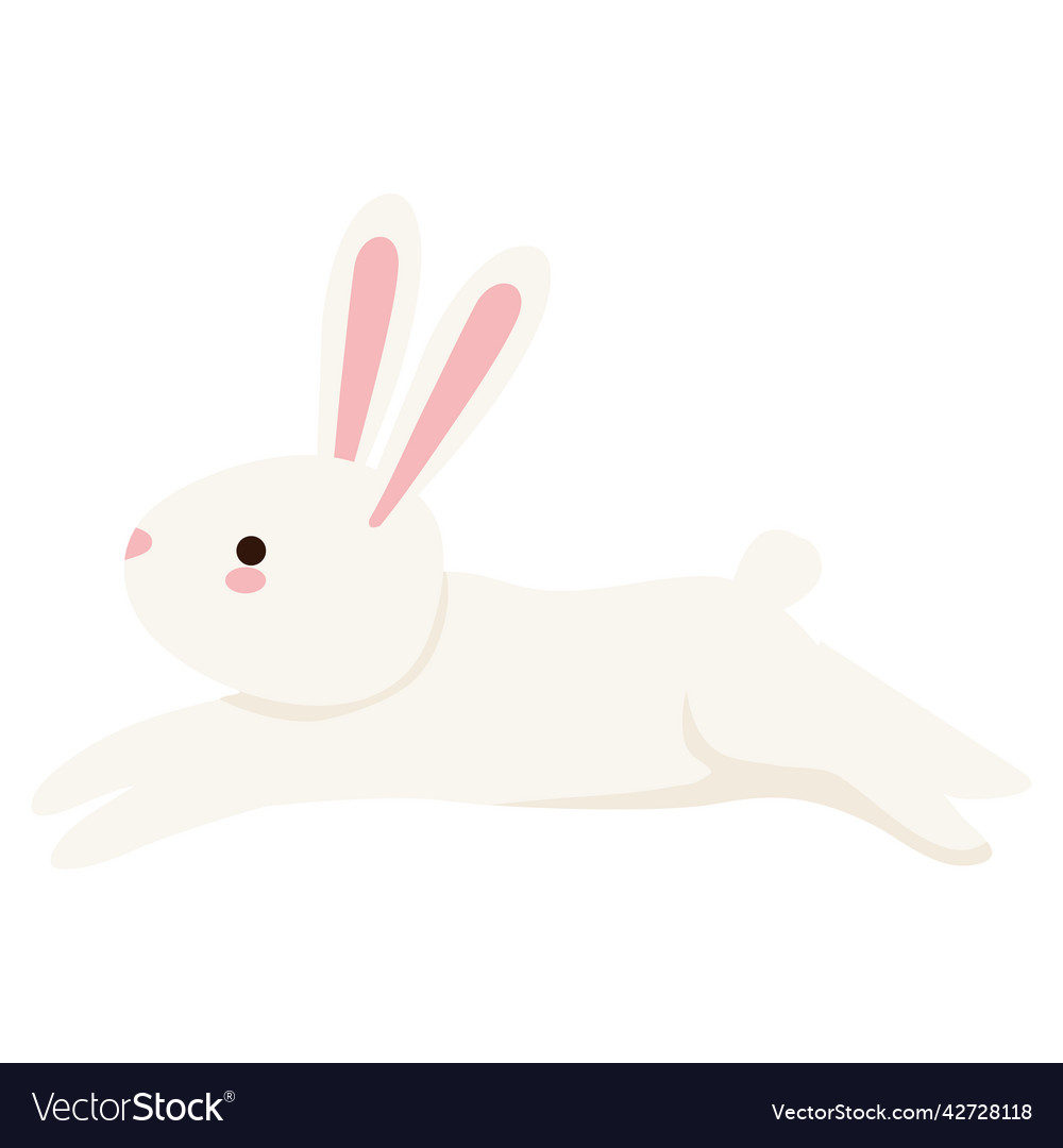 Little rabbit running