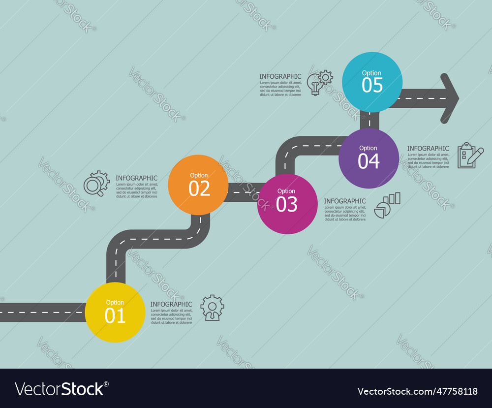 Vertical round circle steps timeline infographic Vector Image