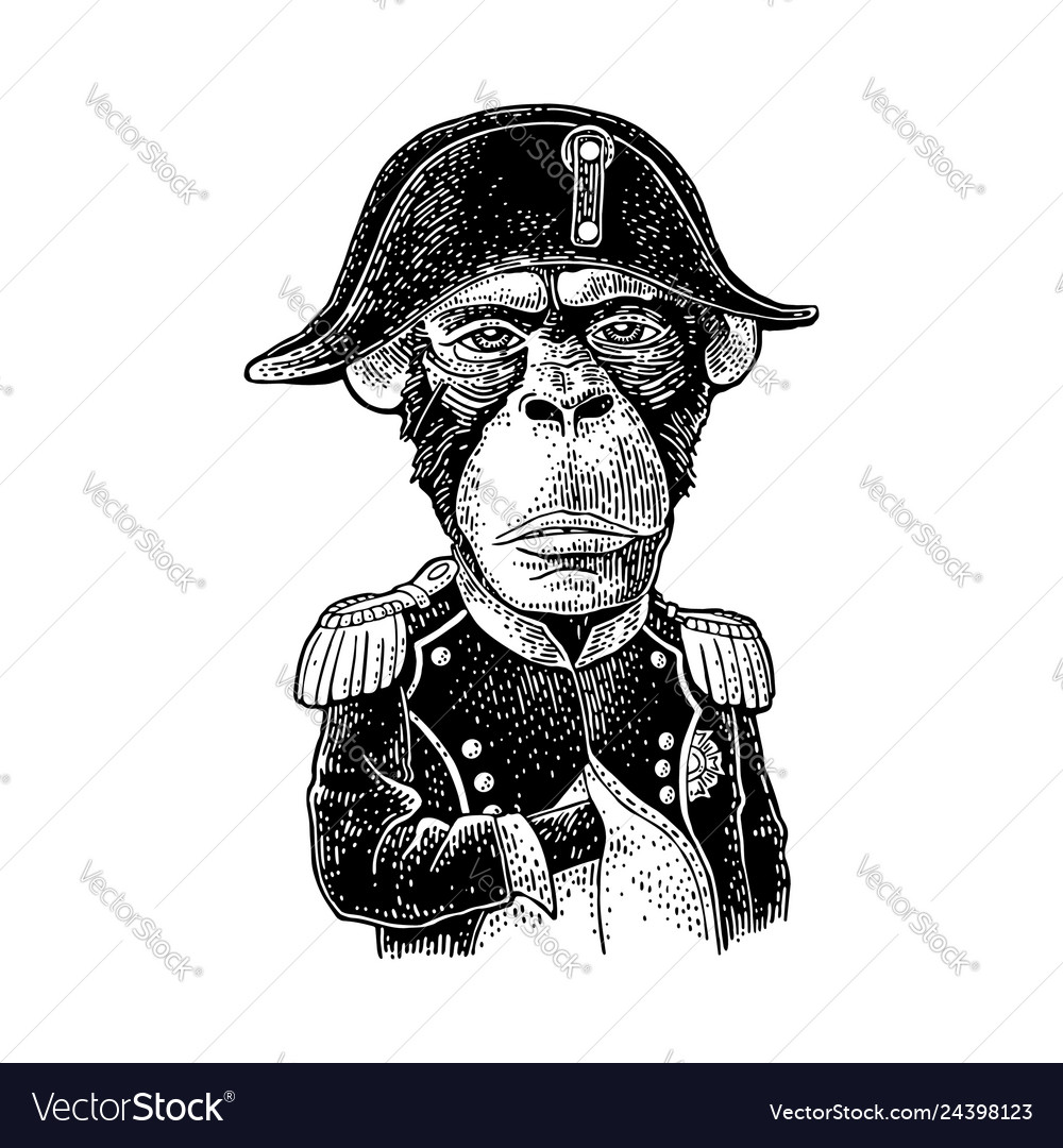 Monkey dressed in the french military uniform