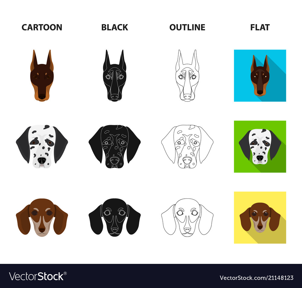 Muzzle of different breeds dogsdog Royalty Free Vector Image