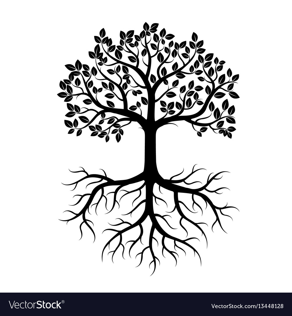 Black tree with leafs and roots Royalty Free Vector Image