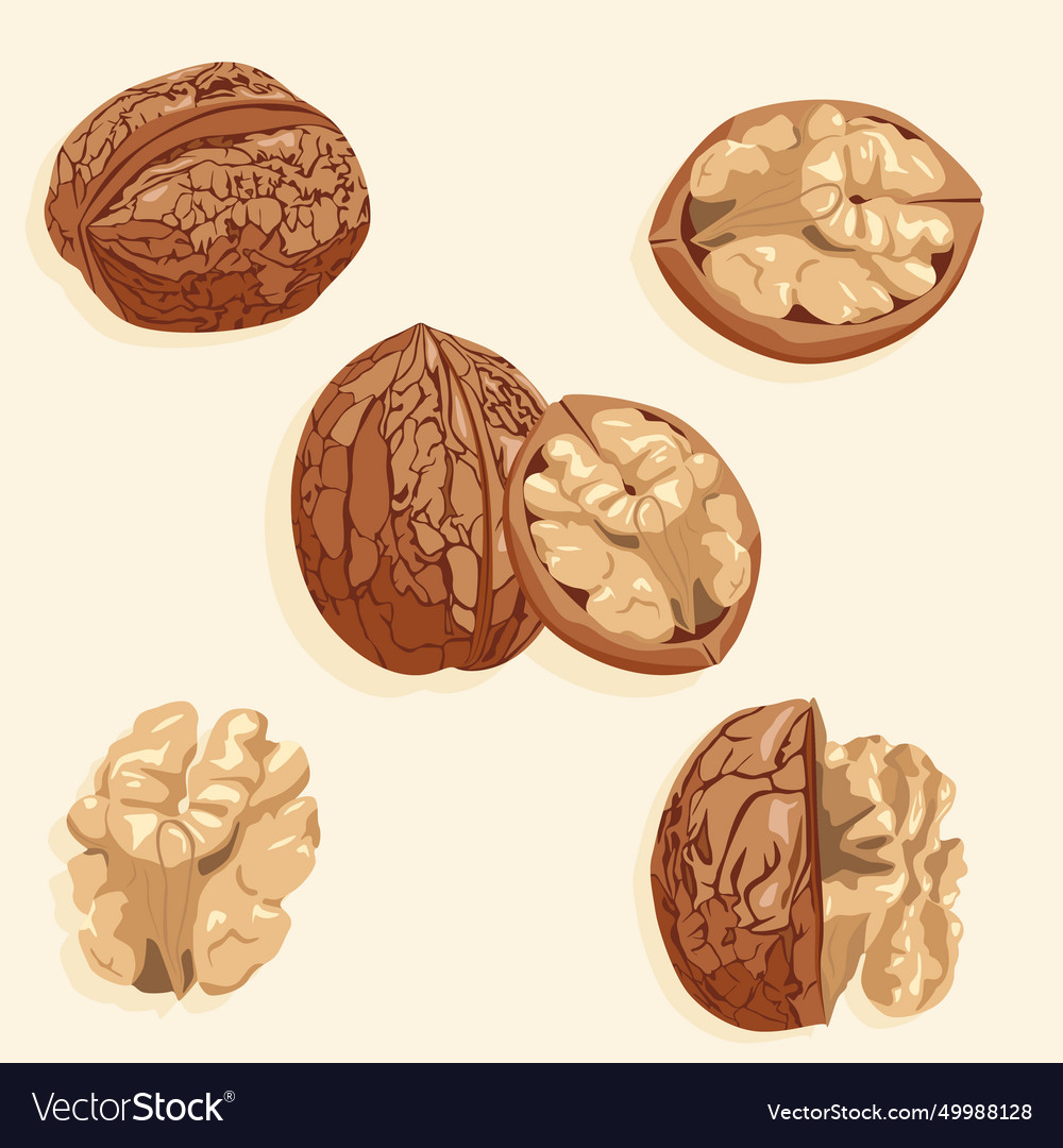 Set of icons walnuts in shell