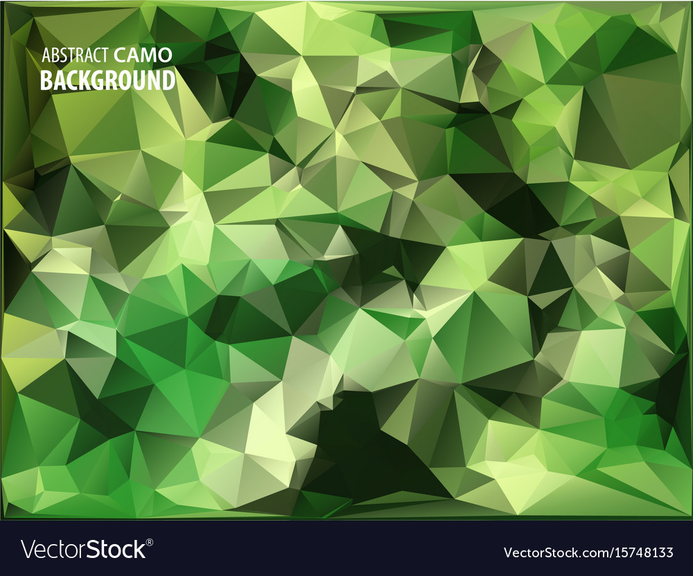 Army military camouflage background made Vector Image