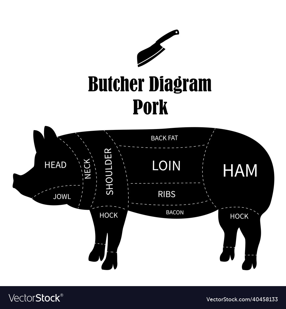 Butcher diagram cuts of pork meat for butchery Vector Image