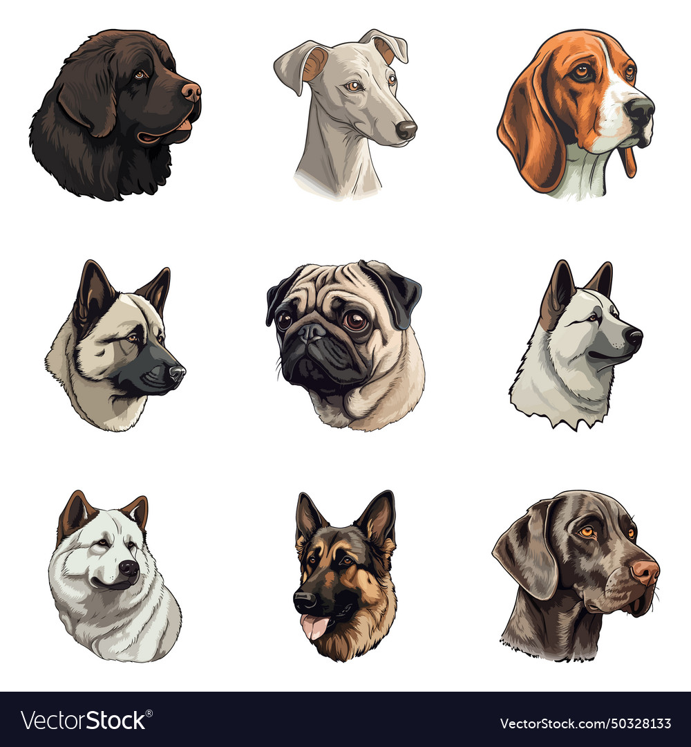 Dogs flat icon set isolated on white background Vector Image