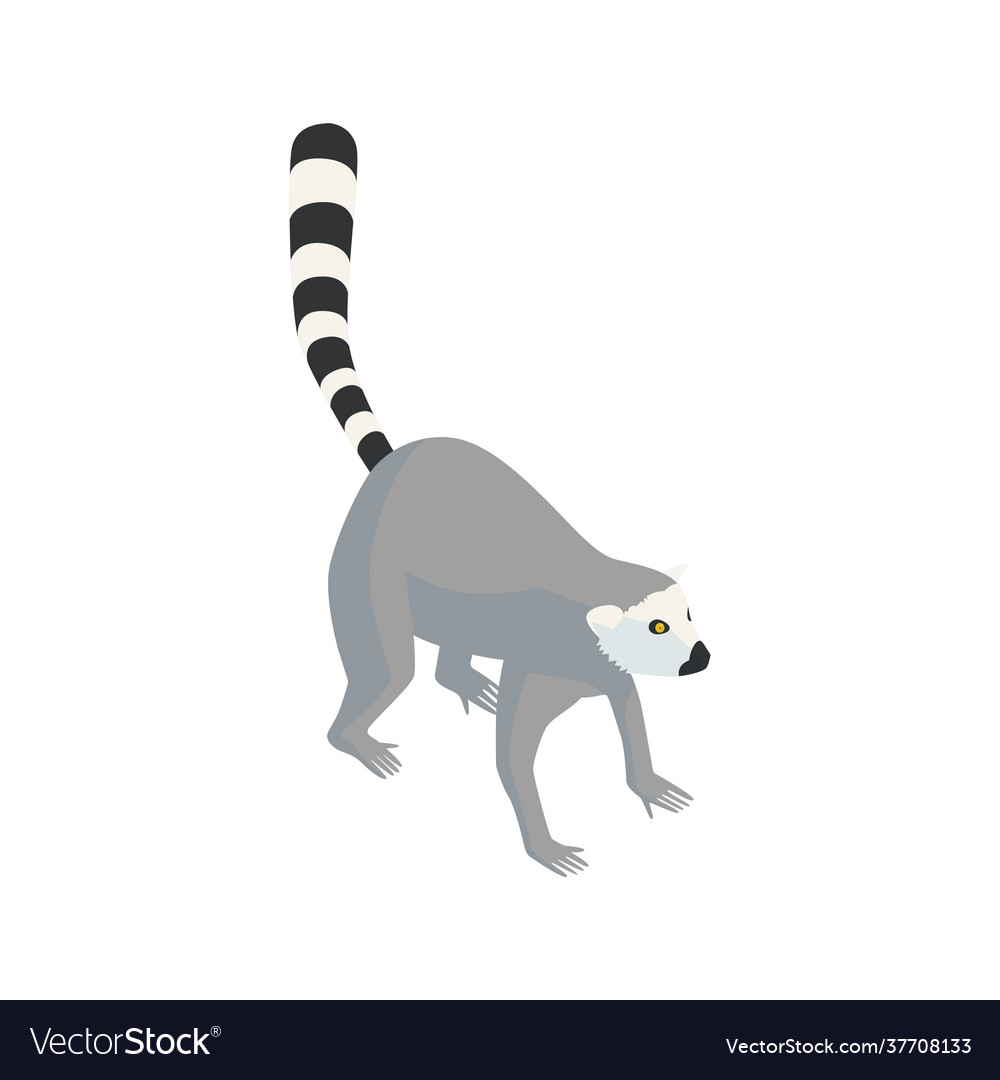 Zoo Lemur Isometric Composition Royalty Free Vector Image