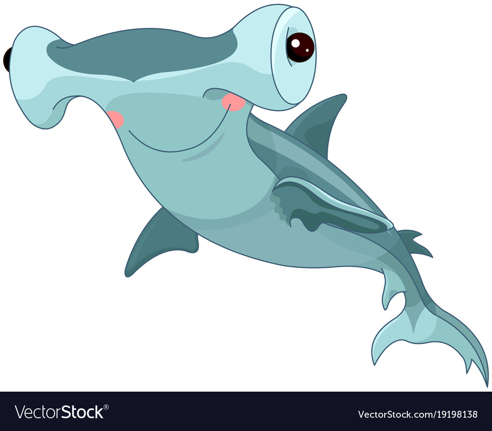 Hummer shark Royalty Free Vector Image - VectorStock