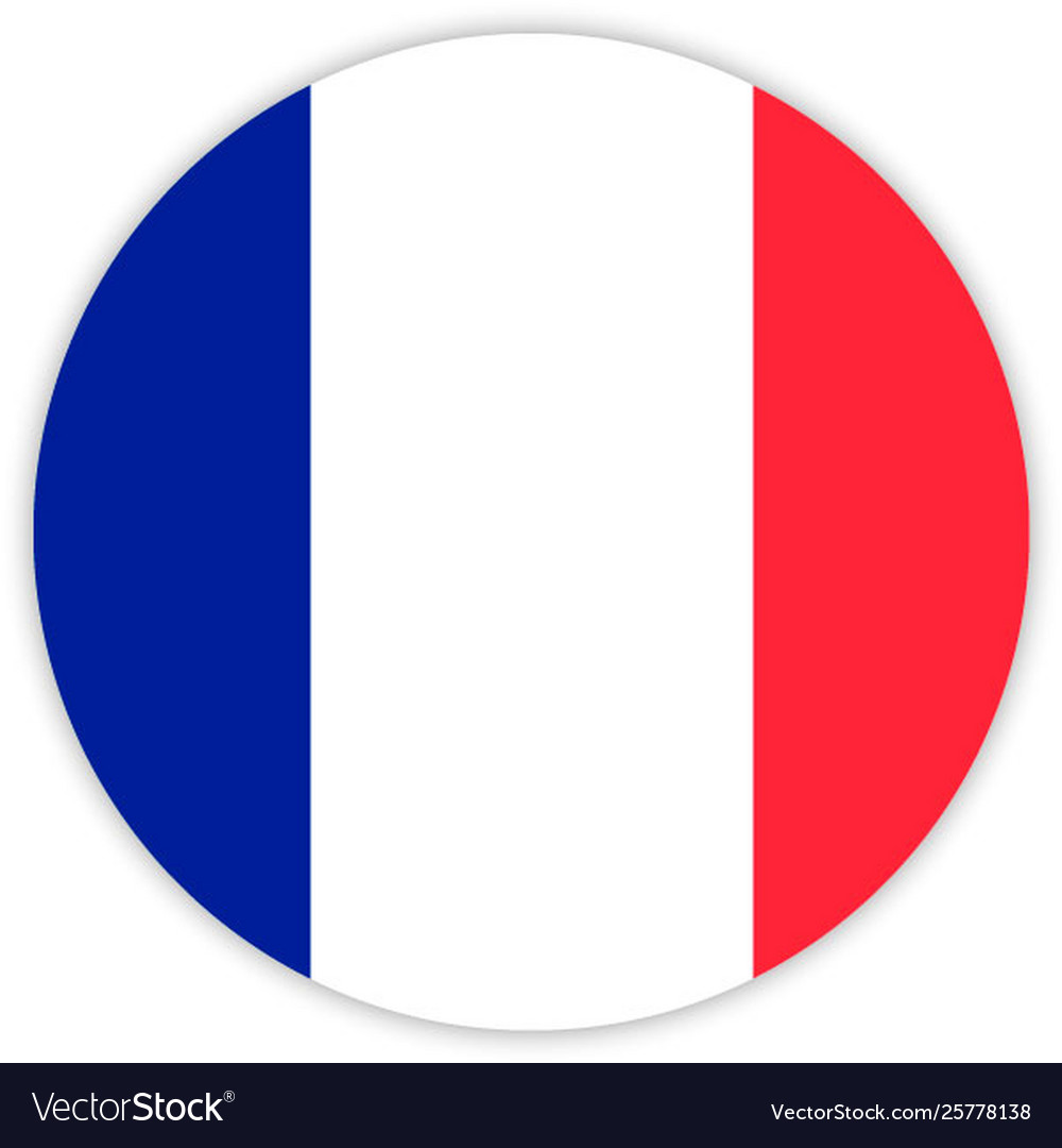 Simple round flag vector image Simple round flag