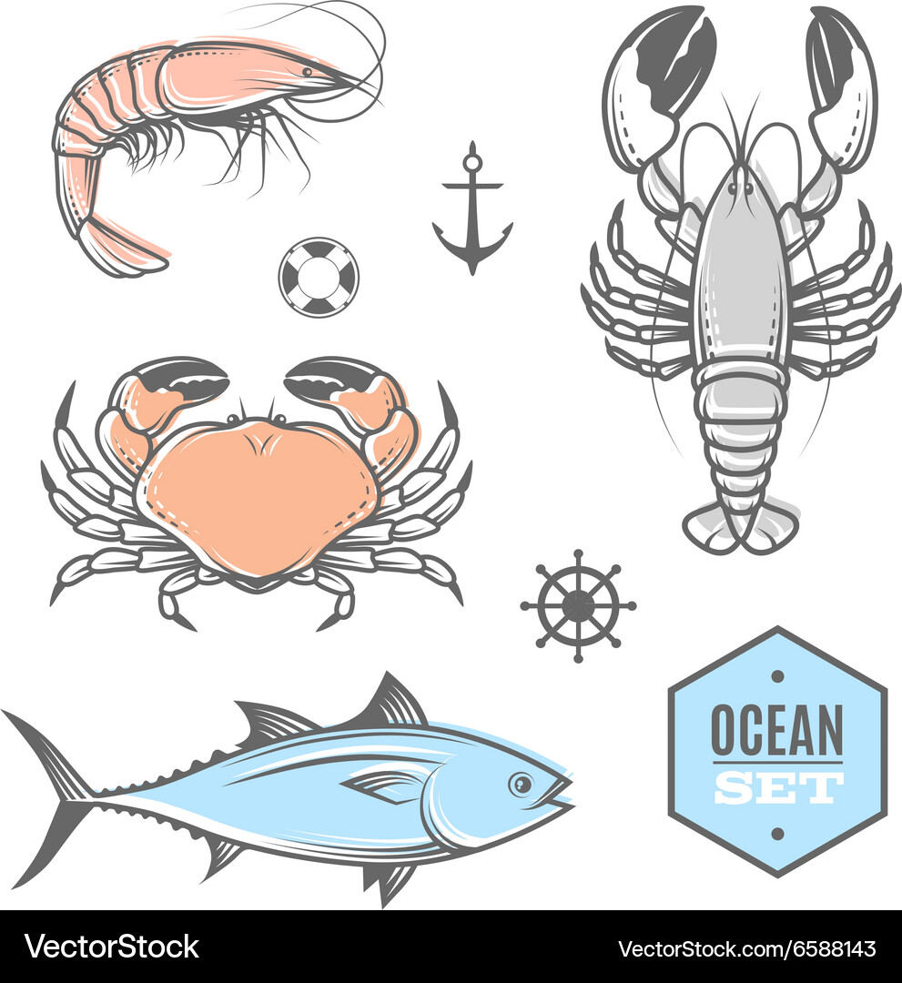 Nautical set Royalty Free Vector Image - VectorStock