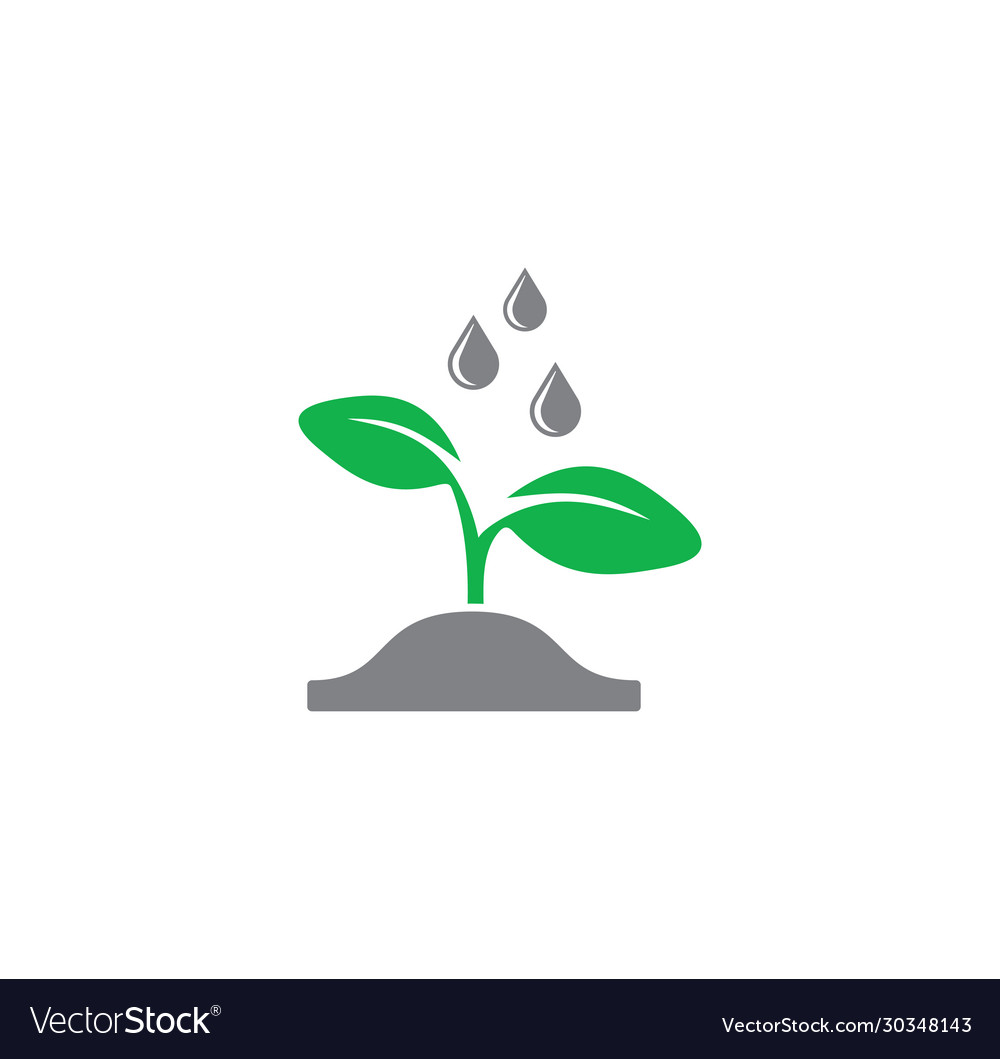 Seed related icon on background for graphic