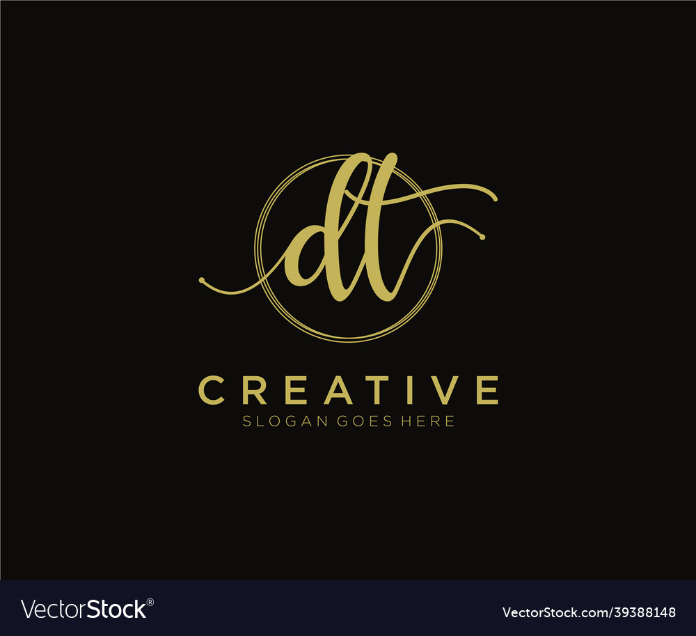 Initial dt feminine logo beauty monogram Vector Image