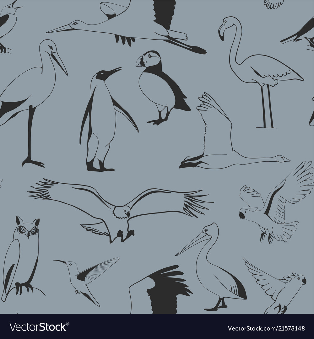 Seamless pattern birds hand drawn