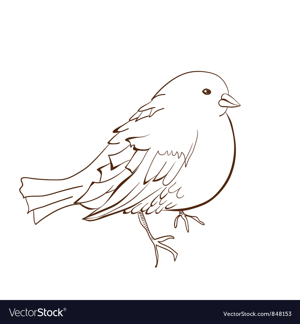 Bird Royalty Free Vector Image - VectorStock