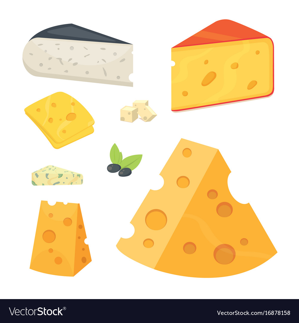 Cheese types in cartoon style Royalty Free Vector Image