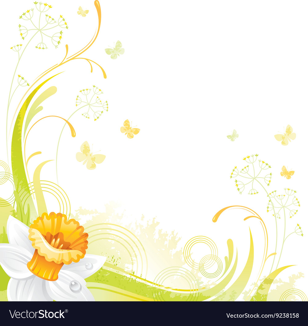 Floral summer background with daffodil flower