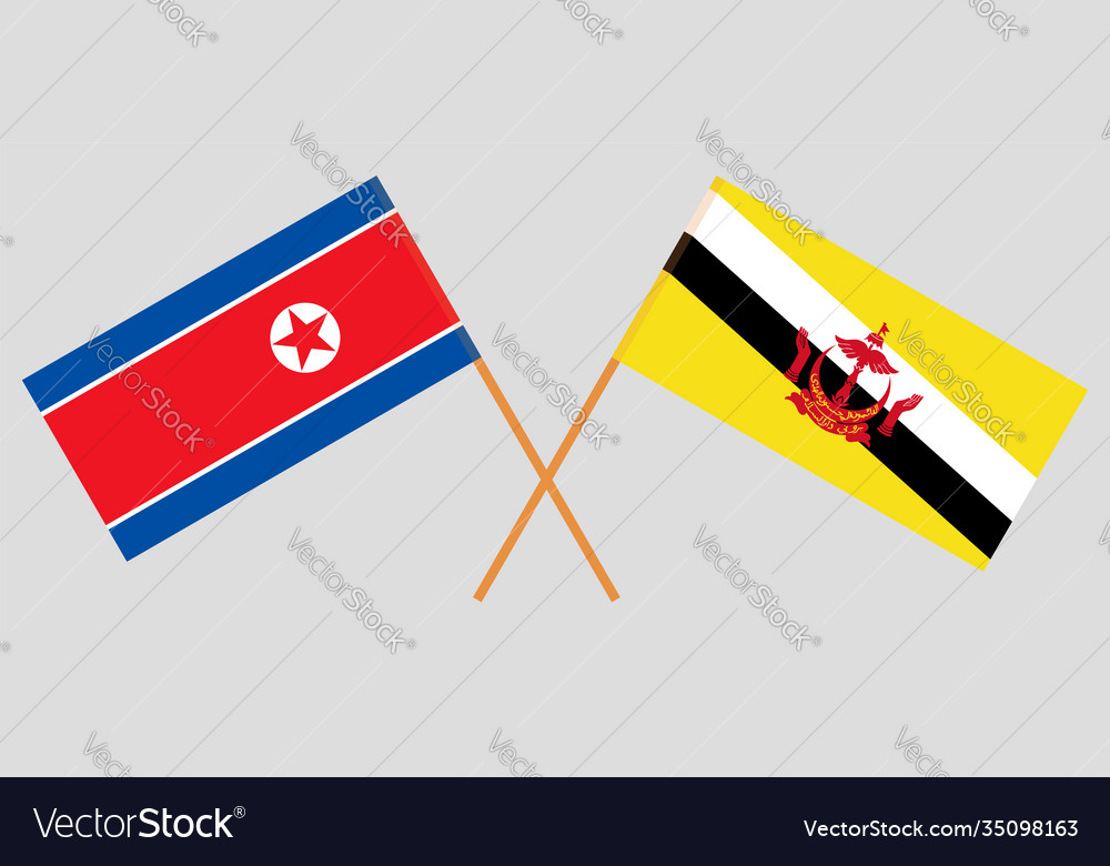 Gekreuzte Flaggen brunei und Nordkorea