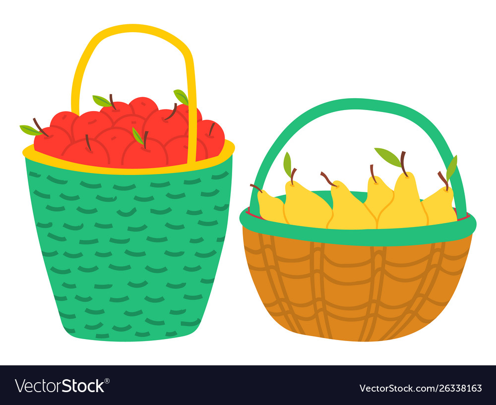 Fruits in basket apple and pear harvest Royalty Free Vector